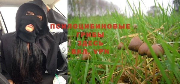 Альфа ПВП Богородицк